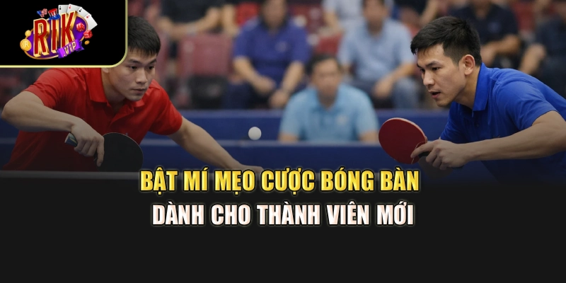 Bật mí mẹo cược bóng bàn dành cho thành viên mới