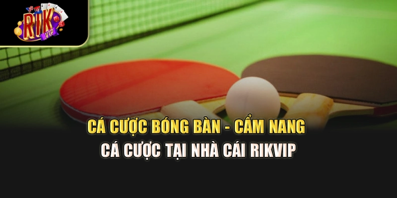 Cá Cược Bóng Bàn - Cẩm Nang Cá Cược Tại Nhà Cái Rikvip