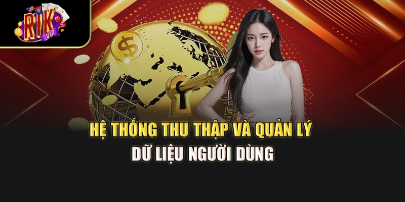 Hệ thống thu thập và quản lý dữ liệu người dùng