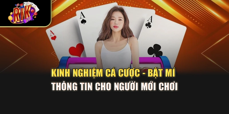 Kinh Nghiệm Cá Cược - Bật Mí Thông Tin Cho Người Mới Chơi